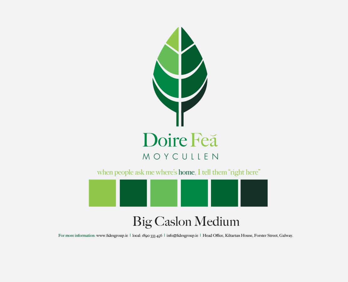 Doire Feá Logo and branding scheme